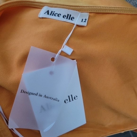 Alice elle NWT Dress size 12. - Picture 10 of 15